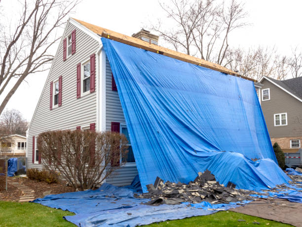 Best Storm Damage Siding Repair  in Lynwood, CA