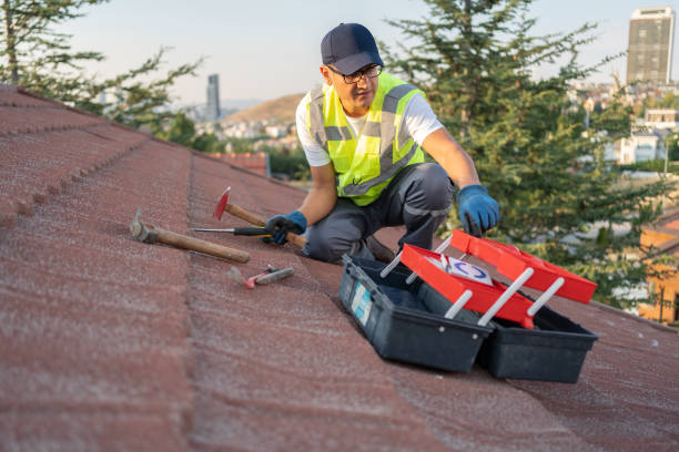 Best Fiber Cement Siding Installation  in Lynwood, CA